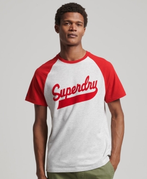 Superdry Vintage Surf Ranchero Pkt Tee Neutrals | 791543-CYS